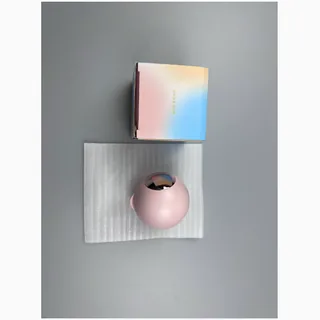Lint Roller Ball